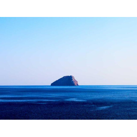 Mediocre Rubber Wallet fr-FR